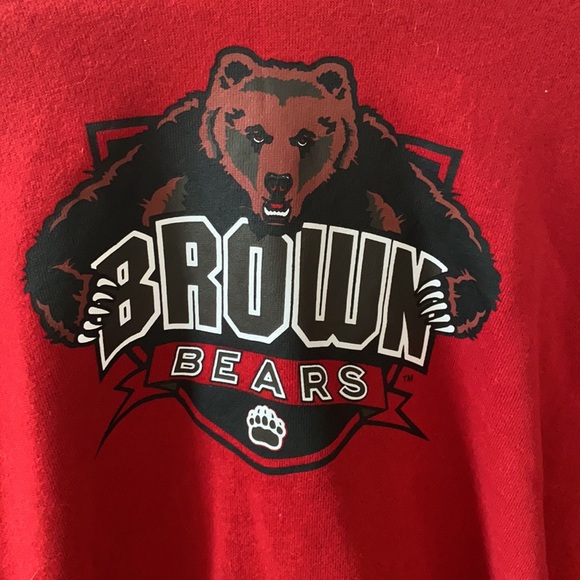 Brown University Hoodie - Picture 3 of 4